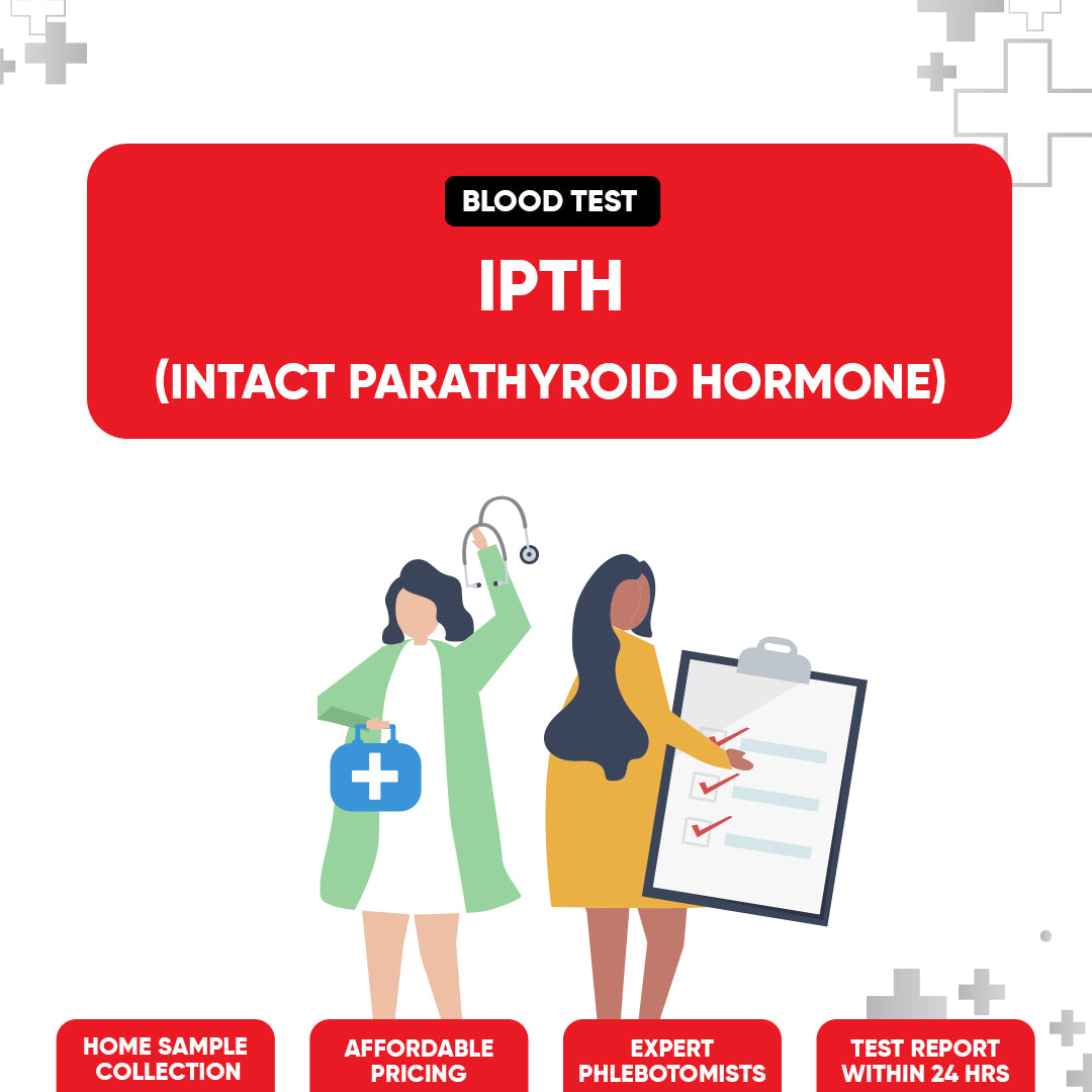iPTH (Intact Parathyroid Hormone)