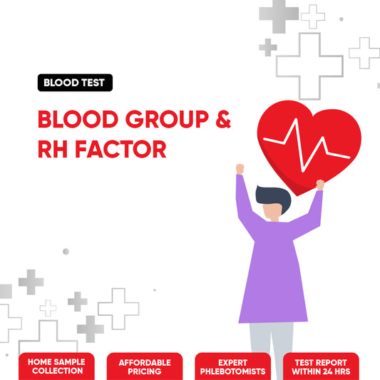 Blood Group & Rh Factor Test