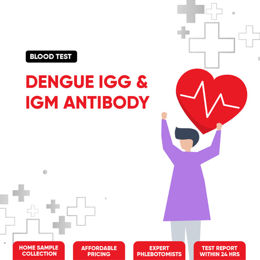 Dengue IgG & IgM Antibody Test