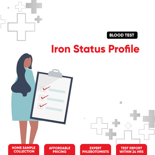 Iron Status Profile Test
