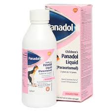 PANADOL SYRUP 120ML