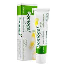 SOMOGEL 20GM CREAM