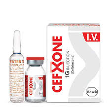 CefXone (1g) 1 IV Injection