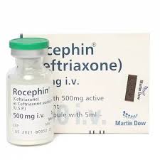 Rocephin (500mg) IV Injection